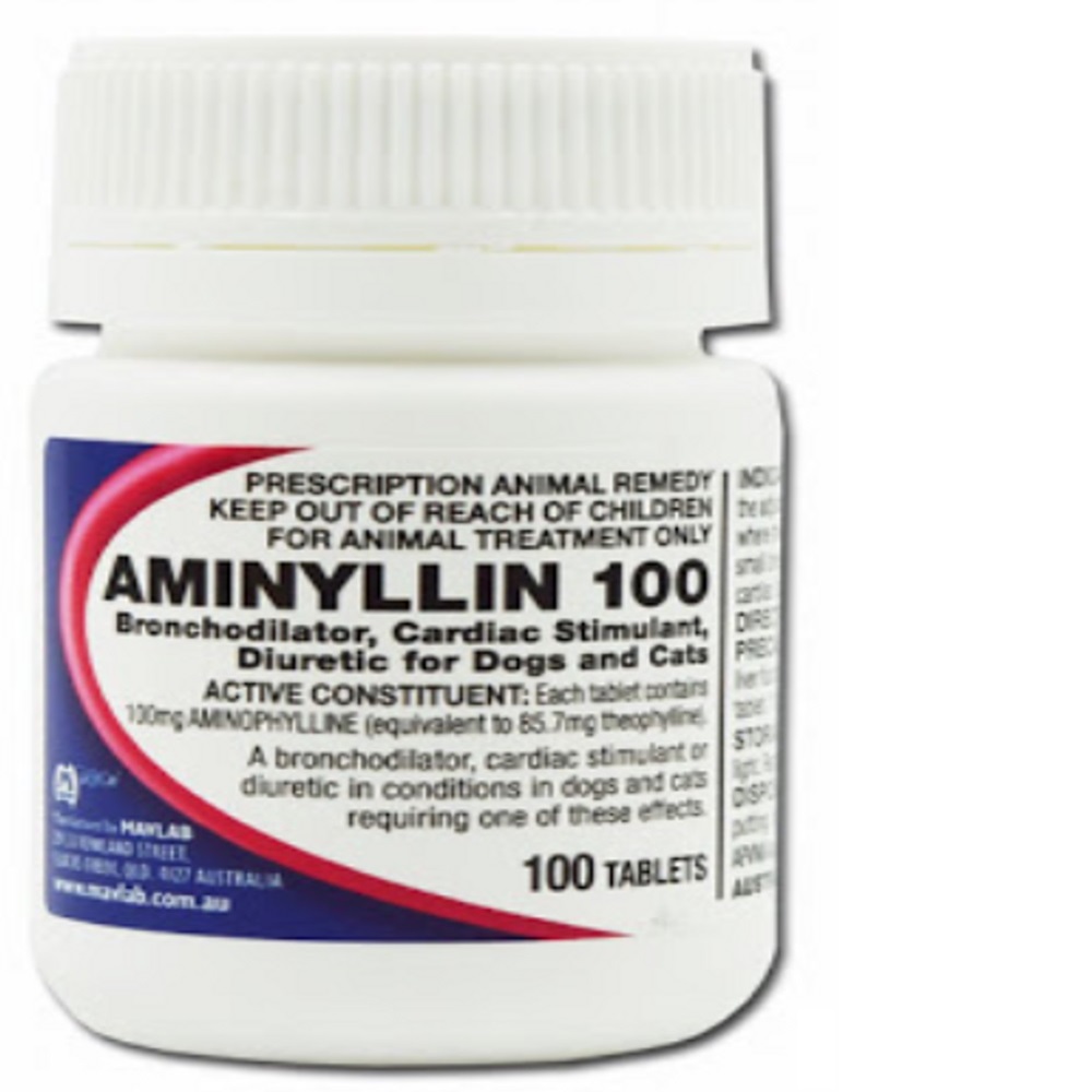 Aminyllin 100Mg Tab 100Tabs