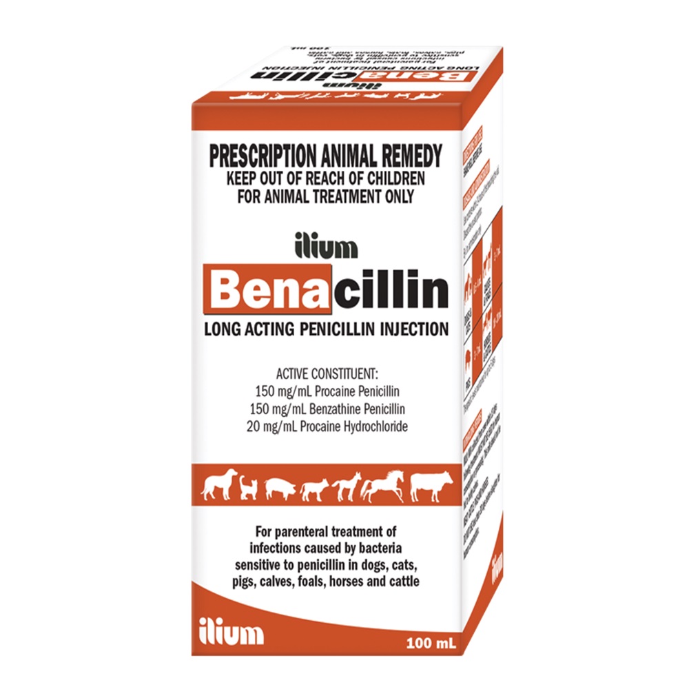 Benacillin La 100Ml
