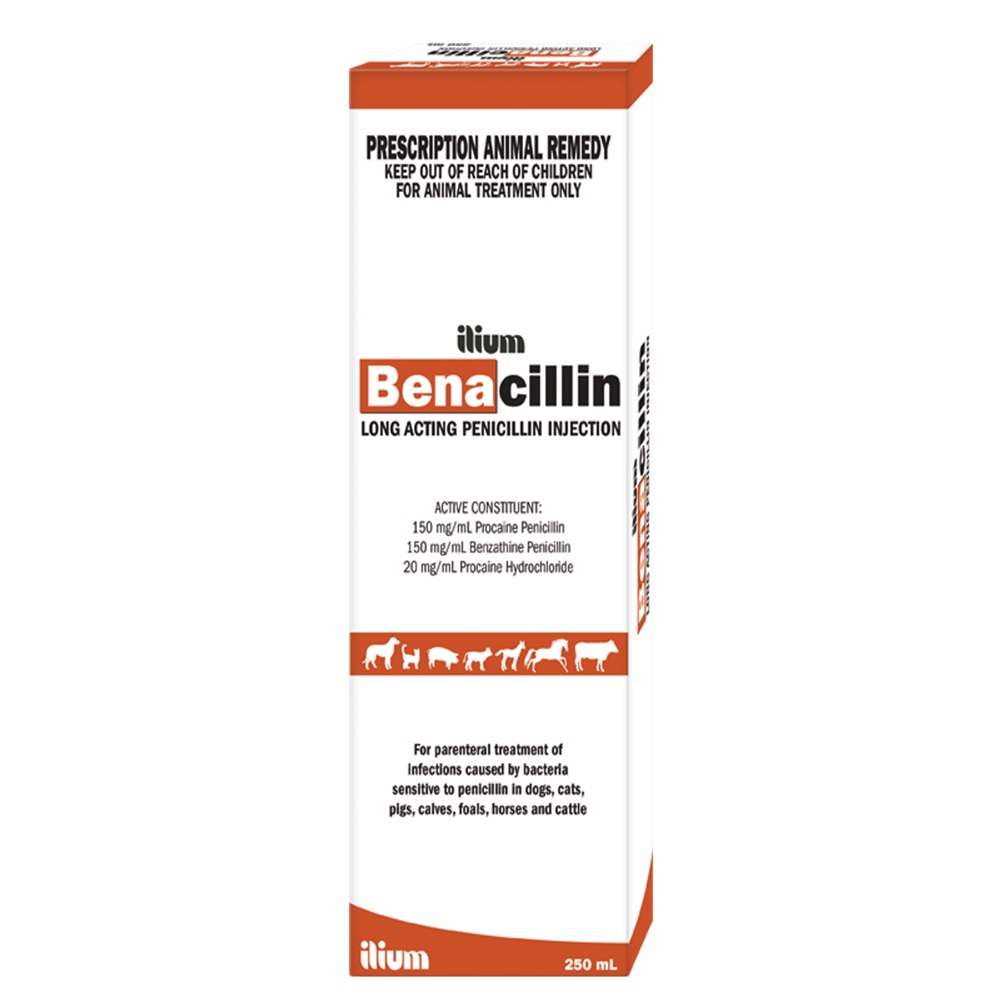 Benacillin La 250Ml