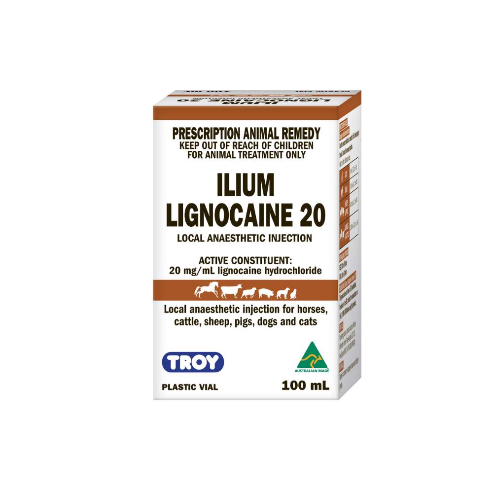 Ilium Lignocaine 20 Local Anaesthetic Injection For Pets 100Ml