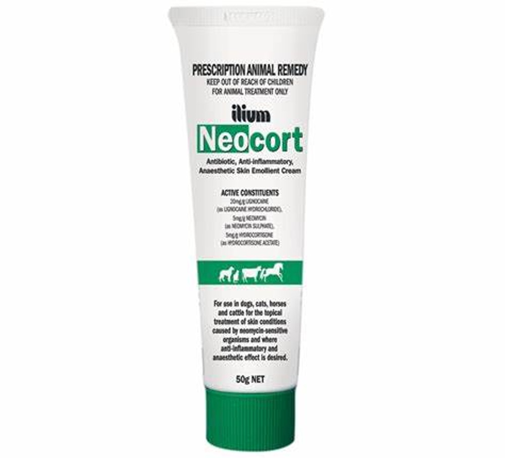 Neocort Cream 50Gm Tube
