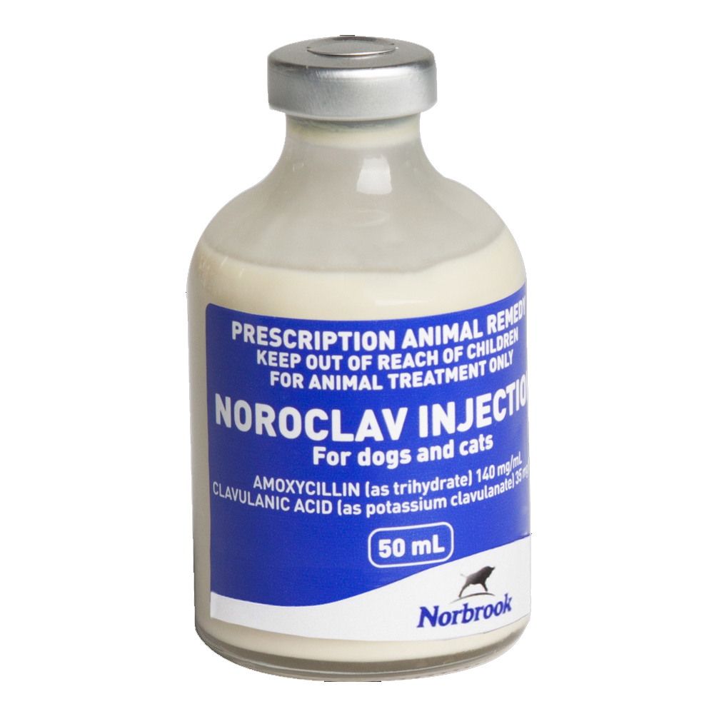 Noroclav Injection For Dogs And Cats 50Ml