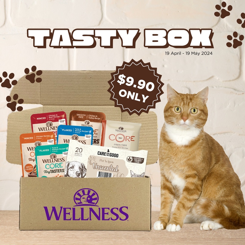 Tasty Box Only at $9.9